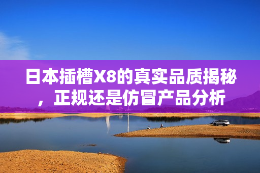 日本插槽X8的真实品质揭秘，正规还是仿冒产品分析