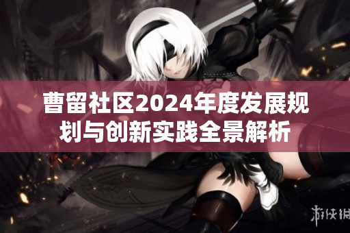 曹留社区2024年度发展规划与创新实践全景解析