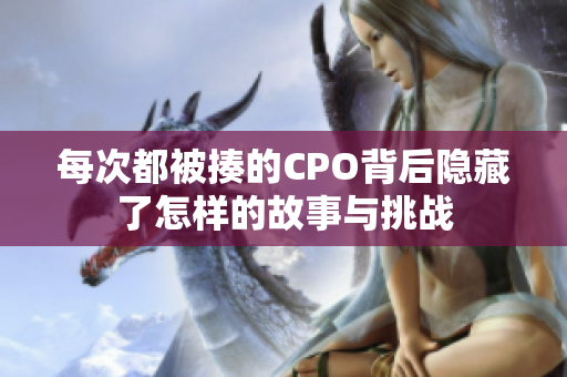 每次都被揍的CPO背后隐藏了怎样的故事与挑战