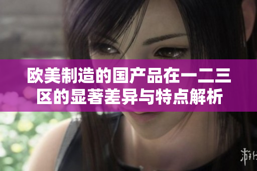 欧美制造的国产品在一二三区的显著差异与特点解析