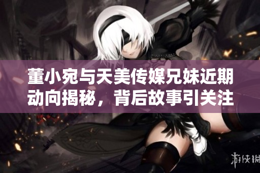 董小宛与天美传媒兄妹近期动向揭秘，背后故事引关注
