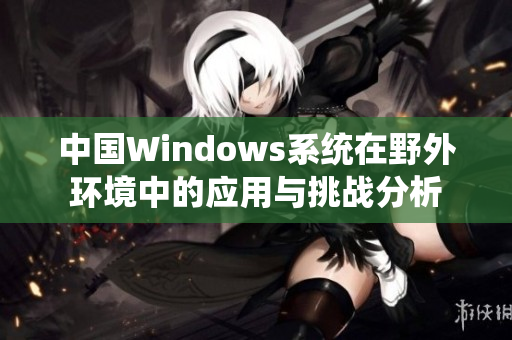 中国Windows系统在野外环境中的应用与挑战分析