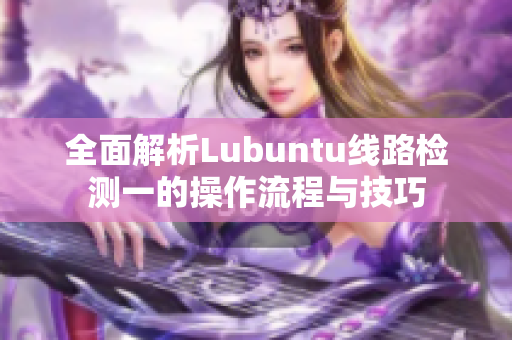 全面解析Lubuntu线路检测一的操作流程与技巧