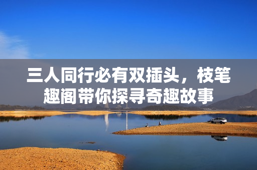 三人同行必有双插头，枝笔趣阁带你探寻奇趣故事