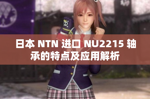 日本 NTN 进口 NU2215 轴承的特点及应用解析