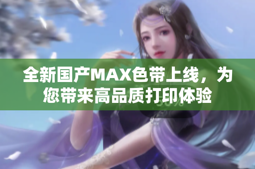 全新国产MAX色带上线，为您带来高品质打印体验