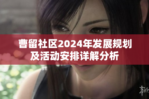 曹留社区2024年发展规划及活动安排详解分析
