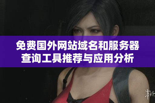 免费国外网站域名和服务器查询工具推荐与应用分析