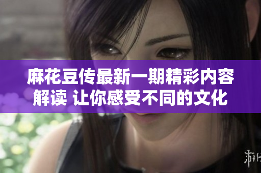 麻花豆传最新一期精彩内容解读 让你感受不同的文化魅力