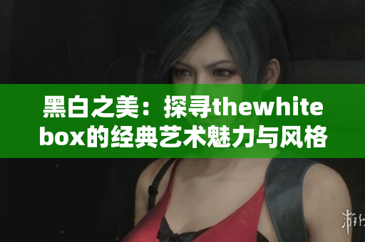 黑白之美：探寻thewhitebox的经典艺术魅力与风格
