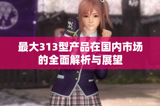 最大313型产品在国内市场的全面解析与展望