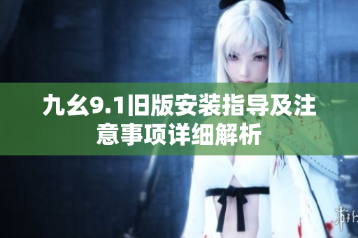 九幺9.1旧版安装指导及注意事项详细解析