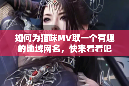 如何为猫咪MV取一个有趣的地域网名，快来看看吧