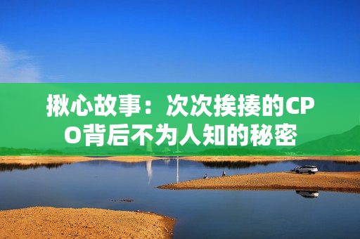 揪心故事：次次挨揍的CPO背后不为人知的秘密