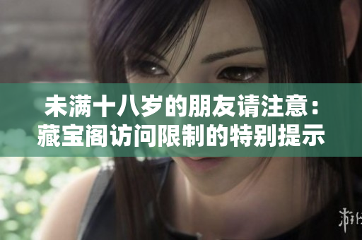 未满十八岁的朋友请注意：藏宝阁访问限制的特别提示
