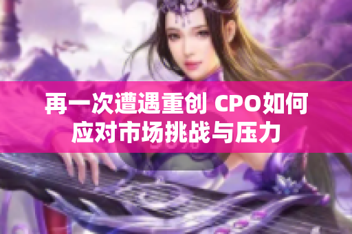 再一次遭遇重创 CPO如何应对市场挑战与压力