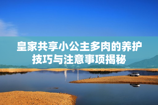 皇家共享小公主多肉的养护技巧与注意事项揭秘