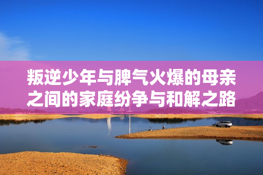叛逆少年与脾气火爆的母亲之间的家庭纷争与和解之路