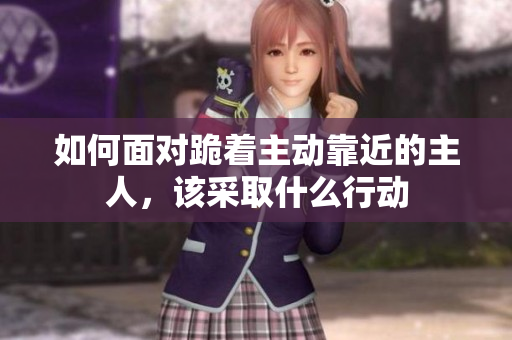 如何面对跪着主动靠近的主人，该采取什么行动