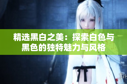 精选黑白之美：探索白色与黑色的独特魅力与风格