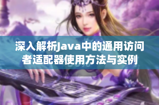 深入解析Java中的通用访问者适配器使用方法与实例