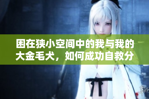 困在狭小空间中的我与我的大金毛犬，如何成功自救分享经历