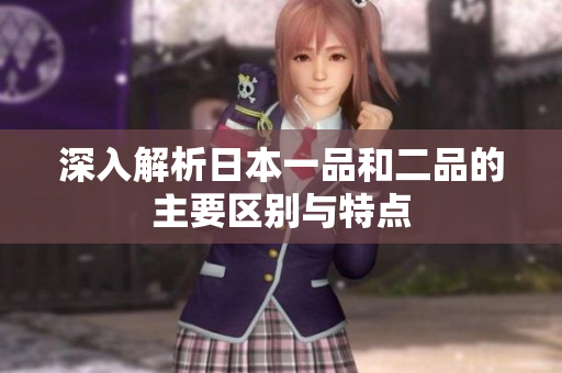 深入解析日本一品和二品的主要区别与特点