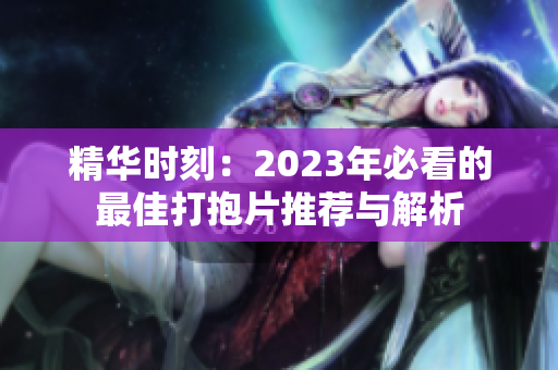 精华时刻：2023年必看的最佳打抱片推荐与解析