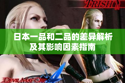日本一品和二品的差异解析及其影响因素指南