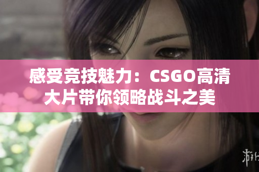 感受竞技魅力：CSGO高清大片带你领略战斗之美