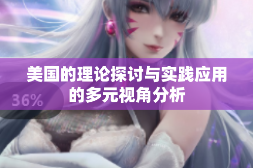 美国的理论探讨与实践应用的多元视角分析