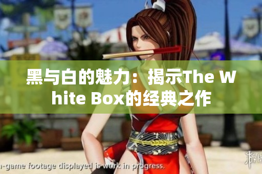 黑与白的魅力：揭示The White Box的经典之作