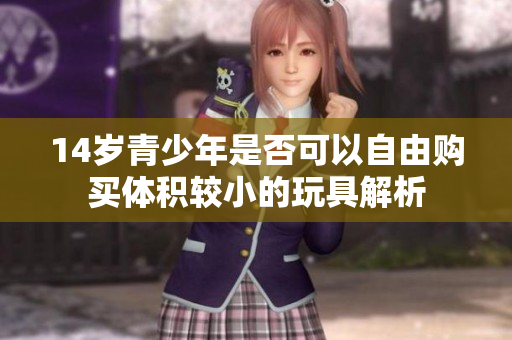 14岁青少年是否可以自由购买体积较小的玩具解析