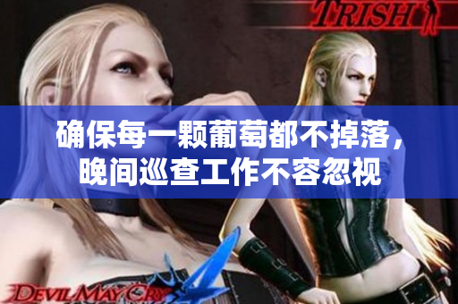 确保每一颗葡萄都不掉落，晚间巡查工作不容忽视