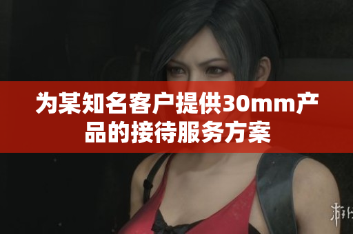 为某知名客户提供30mm产品的接待服务方案