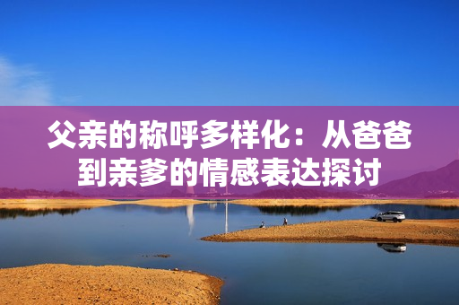 父亲的称呼多样化：从爸爸到亲爹的情感表达探讨