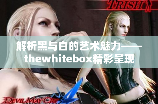 解析黑与白的艺术魅力——thewhitebox精彩呈现