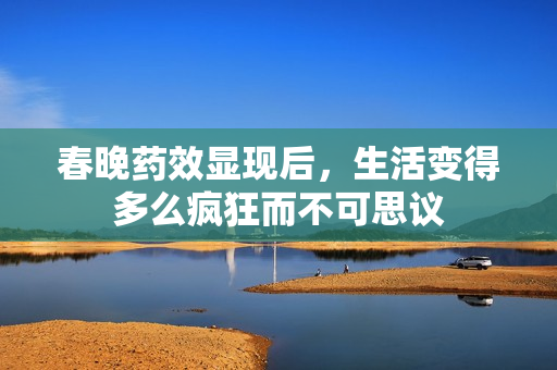 春晚药效显现后，生活变得多么疯狂而不可思议