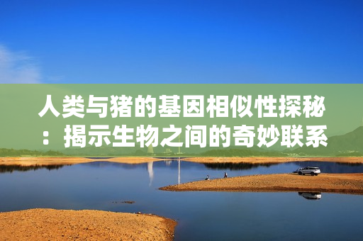 人类与猪的基因相似性探秘：揭示生物之间的奇妙联系