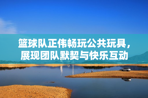 篮球队正伟畅玩公共玩具，展现团队默契与快乐互动