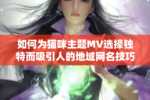 如何为猫咪主题MV选择独特而吸引人的地域网名技巧