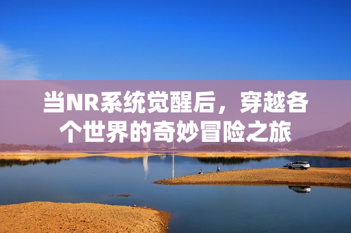 当NR系统觉醒后，穿越各个世界的奇妙冒险之旅