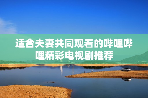 适合夫妻共同观看的哔哩哔哩精彩电视剧推荐