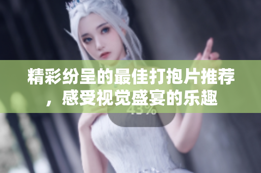 精彩纷呈的最佳打抱片推荐，感受视觉盛宴的乐趣