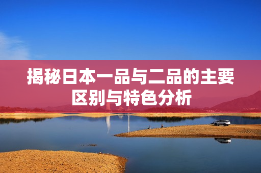 揭秘日本一品与二品的主要区别与特色分析